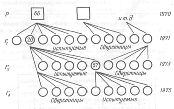 Сема селекции